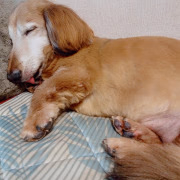 奥サマンサ　相川ももちゃん♥️