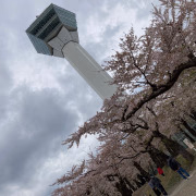 山本ゆき