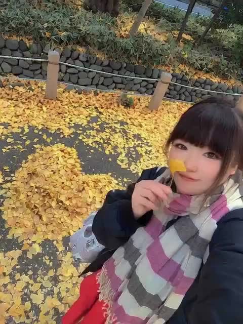 おやすみなさい❤️