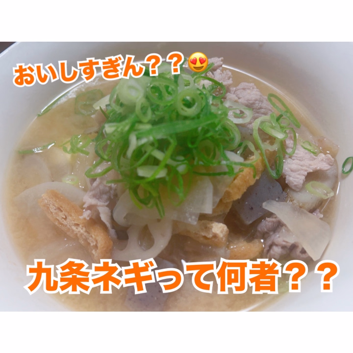 豚汁に九条ネギなるものをかけて食べてみたんだけどなにこれ🤩
ネギの嫌なところをぜーーんぶ取っ払って香りだけめちゃくちゃいい😍😍😍
今夜はこれでもかってほどの九条ネギを摂取したいとおもいます💓
出会えてよかった九条ネギ😋