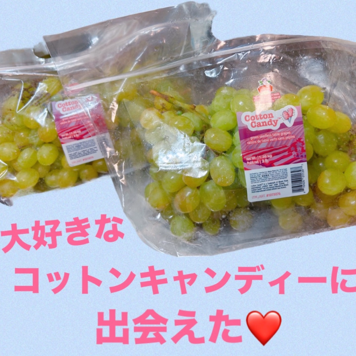 大好きなコットンキャンディーに出逢えた😍
綿あめの味がするくらいあまーいぶどう😳
出逢えた瞬間に2袋握りしめて買いました‼️
ぶどう3.6キロ持ってます😘
あーーー幸せ🥰
しばらくるんるんで過ごせるな(*´ω`*)
ご機嫌みみは今日も元気に出勤してます!
遊びに来てねー✨