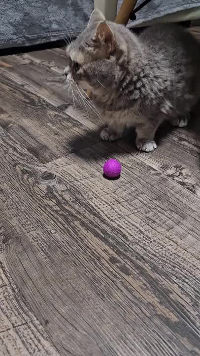 チビ☆のサッカーの仕方が独特(笑)　　何か変(笑)