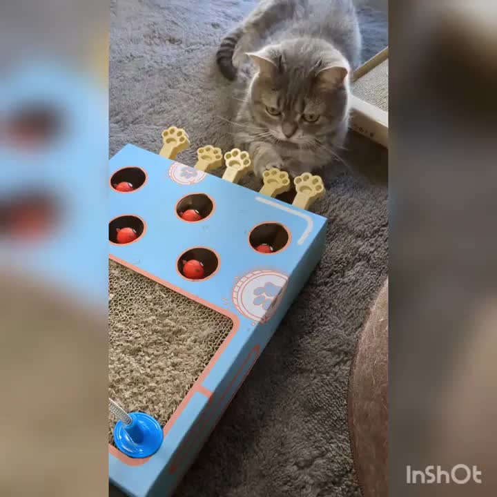 ついにチビ☆が１人でモグラ叩きができるようになりました😂💦💦　　　そして長めのフリーズ(笑)😂