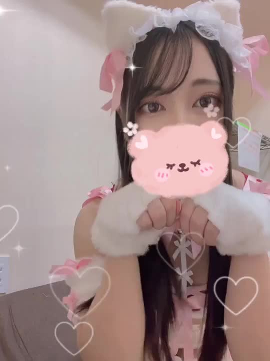 ねこ🐱