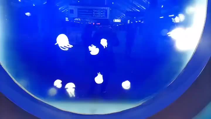 今年もあとわずか！いつもありがとうございますm(_ _)m明日からも宜しくお願いお願いします！