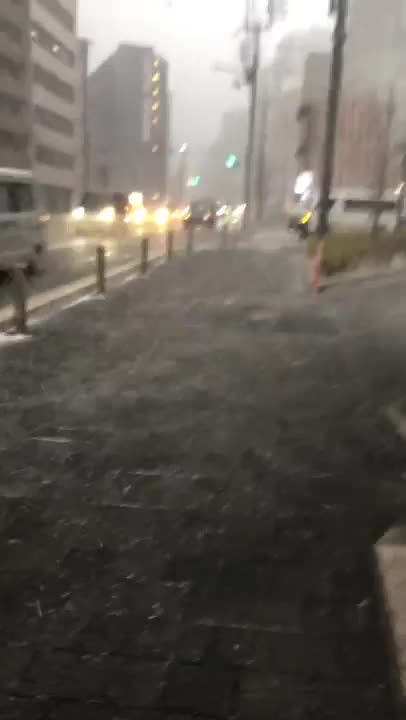 京都の極寒雪景色。このテンションでこの後、電車に8時間缶詰めで泣いた