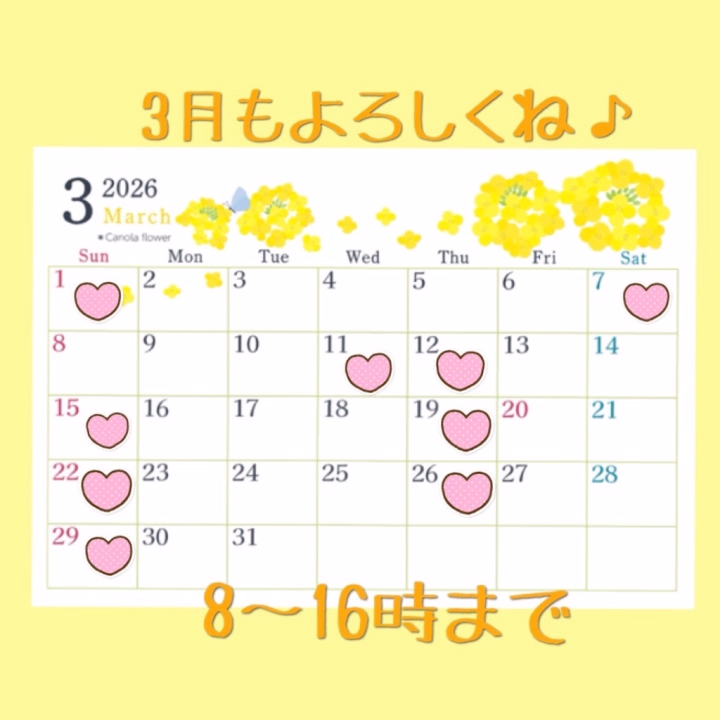 おはよう☀️
今日も8時から出勤だよ♡

約2週間ぶりの出勤💦女の子休暇があったりでだいぶ空いてしまいました🥲

今月の出勤日数少なすぎてごめんね💦

来月は9日くらい出勤予定です♡

皆さんとお時間合うといいな🥹

ヒメチャンネルのトークからでも予約受付してるので（2日前まで）ご予約お待ちしてます♬.*ﾟ