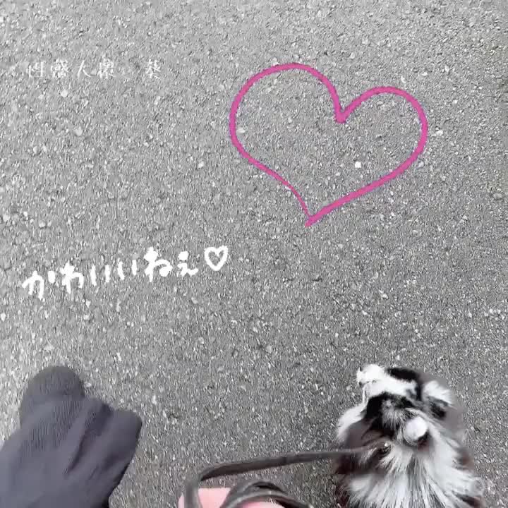 うんぴの旅♥️