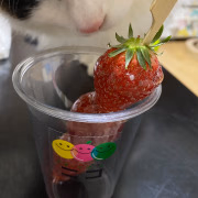 店長  みい