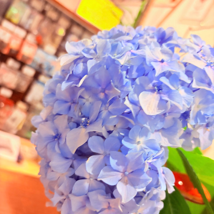 こんにちは！


つぐみです🤭



水戸到着して出勤してます✨



今日は少し肌寒いですね🥹


みなさまお身体に気をつけて〜