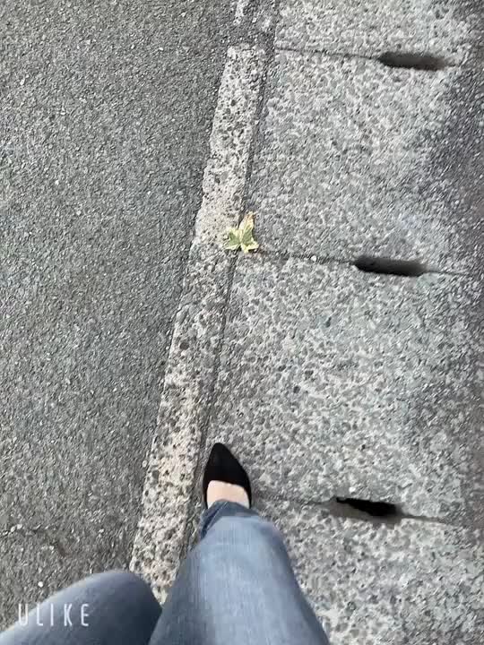 出勤なう^ ^