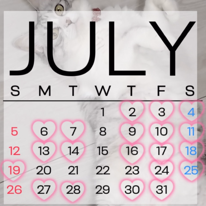 7月の出勤予定でーす❣️

♡﻿マークの日の17時～いますっ！
先々のご予約もお待ちしてます📞💓

本指名様はできれば姫予約で
お願いしたいです(*_ _)

ではでは、
私は連休最終日をゴロゴロして
過ごしますかねっ👾

(久しぶりに絵文字使ってみたっ！笑)