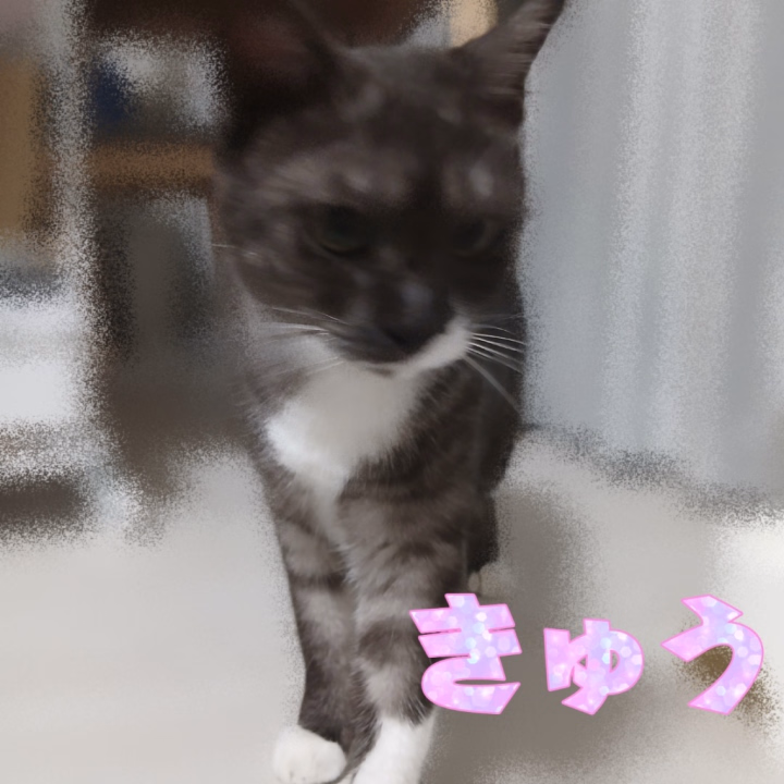 連休最終日~✨
明日17時からいます!
早い時間が空いてるので
お仕事終わりすぐに遊びに来てねっ🥒💕
そろそろ来月のシフトも出しまーす⸜(*´꒳`*)⸝