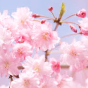 そう
