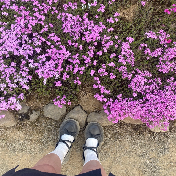 前見に行った芝桜〜🌸
綺麗でしたん❣️

昨日もたくさんのみなさま
ありがとうございました〜🤩🤩🤩
仲良しさまも来てくれて
ハピハピです〜〜〜🥺♡
みなさま褒めるの上手で私の語彙がなくなりますww


本日お休みでしたが
急遽9-17時で出勤します🥳🌟
そのあとはネイル💅を替えに行くので
ちょい短い時間になりますが
みなさまお会いできるの心からお待ちしております🙇🧡