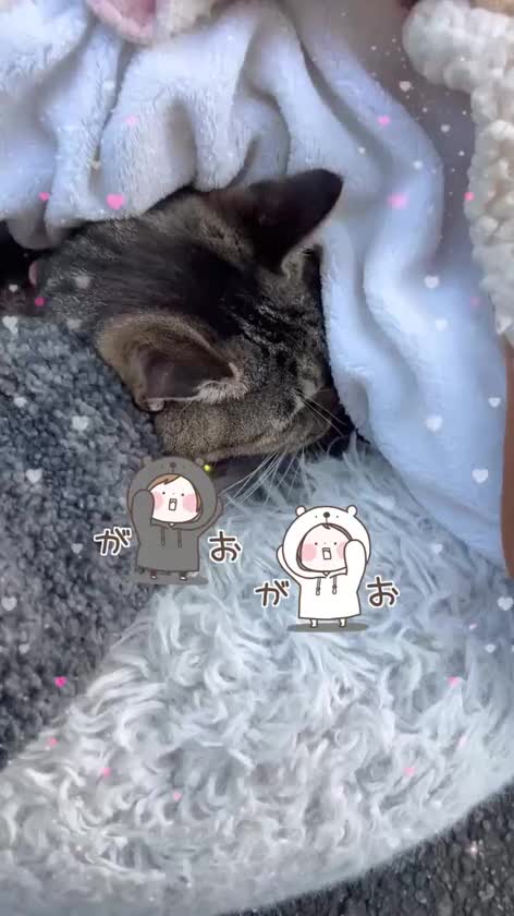 おやすみなさい🌙　また水曜日の出勤で　sweet kissで　お会いしましょう