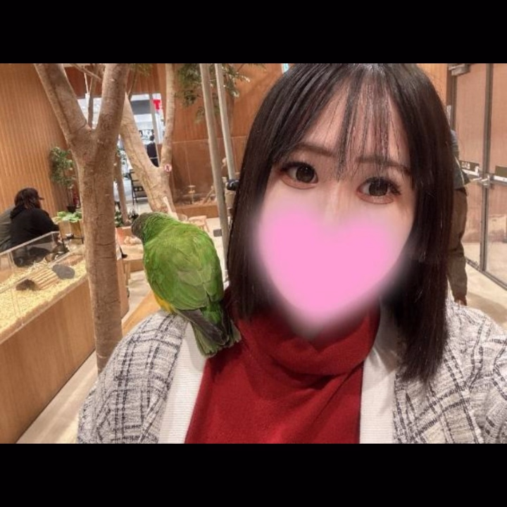 🎀🩷出勤予定日


お兄さんこんにちは🧚‍♀️りんです❣️
出勤予定日こんな感じです✨️

3月26日 11時〜23時
(11時〜16時🈳)
3月27日 10時〜14時
⚠️事前予約なければお休み⚠️
3月28日 11時〜14時🈵
3月31日 11時〜23時🈵
4月1日 11時〜22時
4月2日 15時〜23時
4月4日 11時〜23時🈵
4月8日 11時〜22時
(14時10分〜22時🈳)
4月10日 11時〜22時
4月12日 10時〜14時
⚠️事前予約なければお休み⚠️
4月15日 11時〜22時
4月16日 12時〜23時🈵
4月25日 12時〜0時🈵
5月4日 11時〜23時🈵
5月10日 10時〜3時🈵
5月11日 10時〜3時🈵
5月12日 10時〜3時🈵
5月13日 10時〜24時🈵
5月27日 15時〜23時🈵
6月24日 12時〜0時🈵

既にお誘いしてくれてるお兄様
ありがとうございますദ്ദി ˉ͈̀꒳ˉ͈́ )✧

まだまだご予約お待ちしております🙇‍♀️