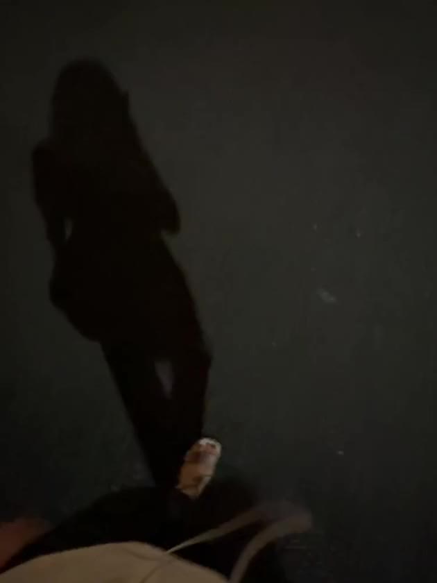 サンダルデビュー👡
夜は少し涼しくなりましたね〜