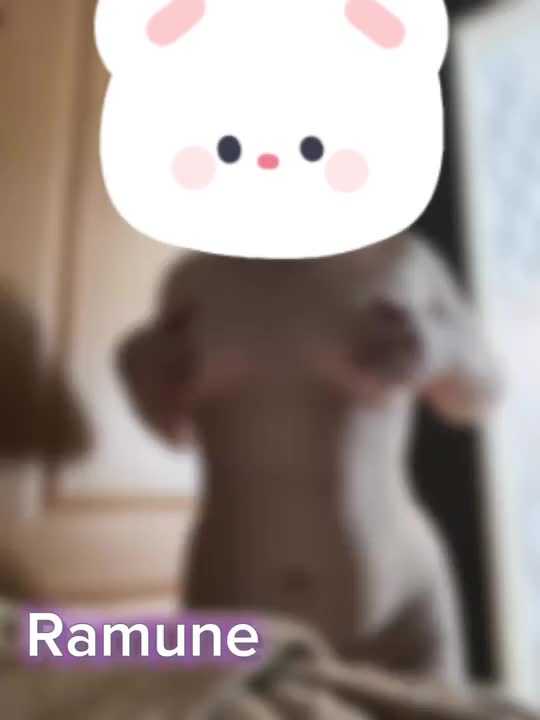 いっぱい触ってほしいな…( ⌯ﾉㅿﾉ)♡