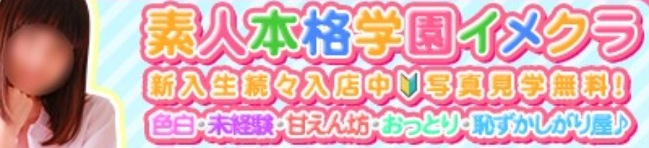 聖あるてみす学園