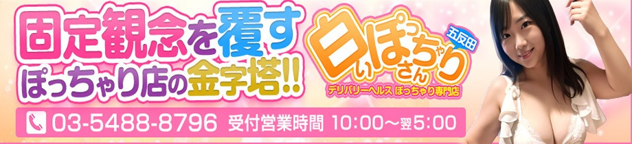白いぽっちゃりさん 五反田店