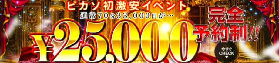 熊本ピカソ