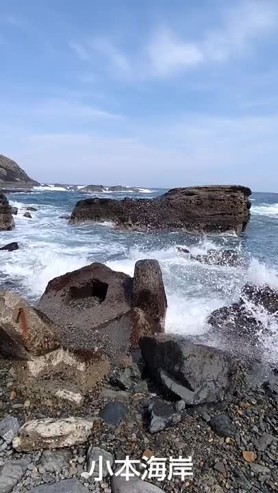 シー🌊