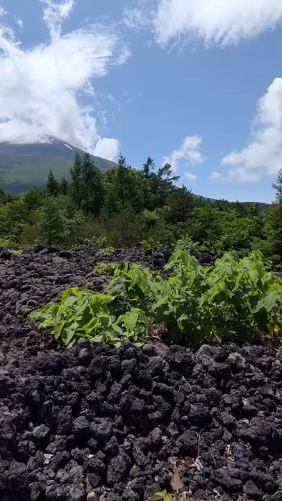 出勤中です♪

MOVIEは、焼走り🌋です♪自然の神秘ですよね(*^^*)

昨日も有難うございます!
そして本日も宜しくお願いします⭐

まい☆♪