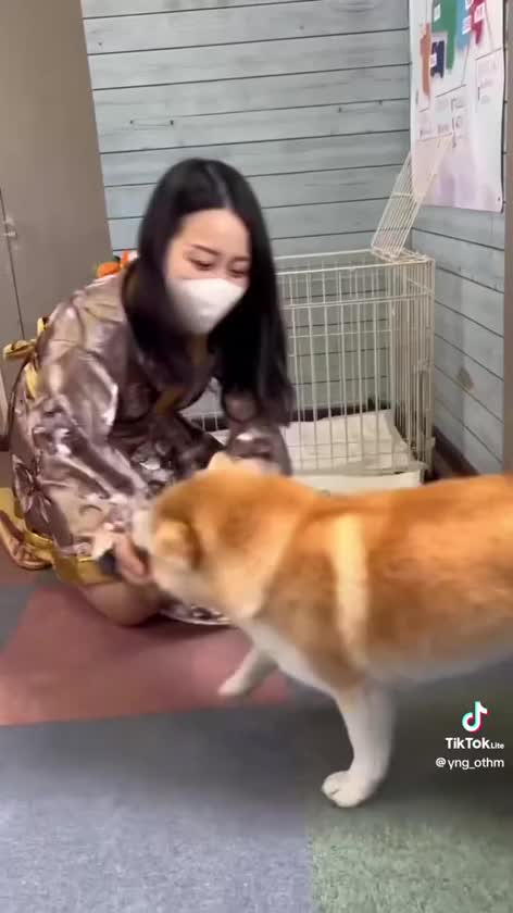 ここまでにお遊びしてくださった方
ありがとうございました☺️

暇な時間にぼーっと見てたら
あらし部長との第2弾動画流れてきた🤣

犬飼ってたけどうちの犬でかかったから
抱っこした経験があんまなくて
どうやってするのかが分からんっていう😂
立ったら身長あんま変わらんかったからねー

うちのわんこと遊ぶ時は
家の前の畑で添い寝
柿とかもいで半分こ
用水路の水にじゃぶじゃぶさせ
ネズミとかモグラ咥えたら全力で逃げる
がお決まりだったから、室内犬は新鮮✨

またもふりにいきたいなー🤤