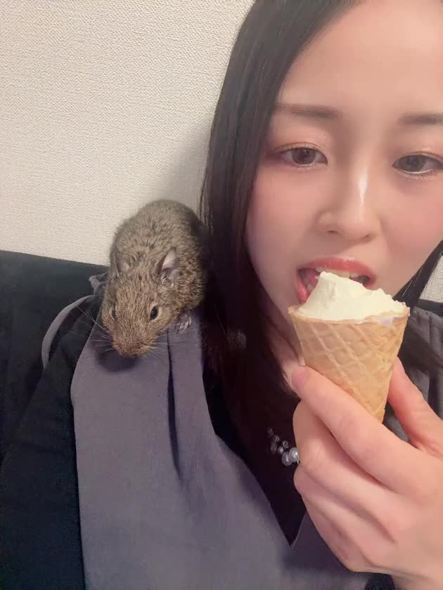 ベロ活動画のNGのやつ🤣

ということで移動からの初出勤の日
楽しみだー福岡！

何年ぶり？3年ぶりぐらい？
推しのライブでキャナルも行ってたから
聖地巡りみたいな気持ちになれそう😇