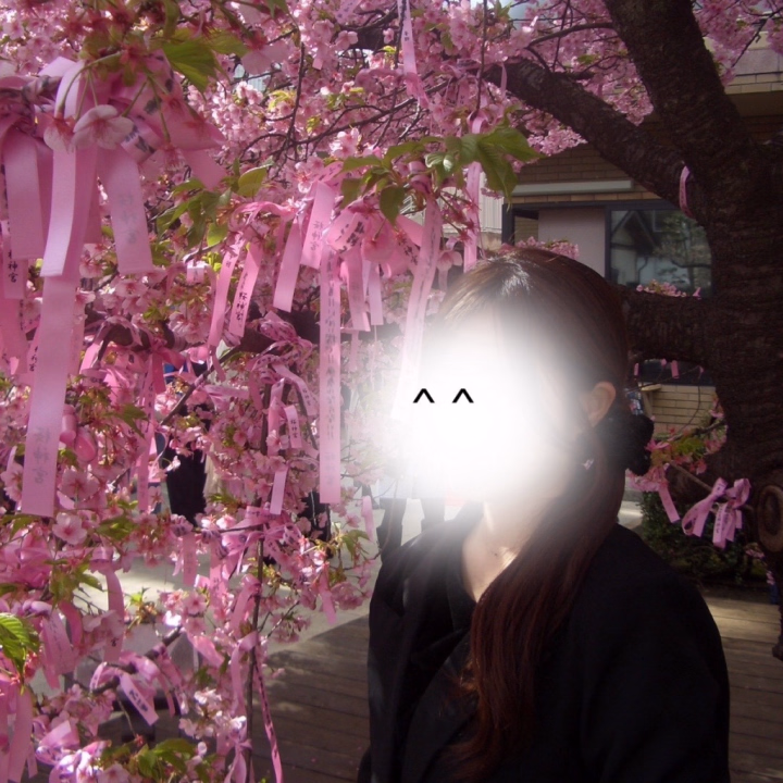 こんにちは、ななねです❕

結構前だけど、桜にリボンがついてるところにお花見に行ったの🎀✨

可愛過ぎませんか🥹🤍