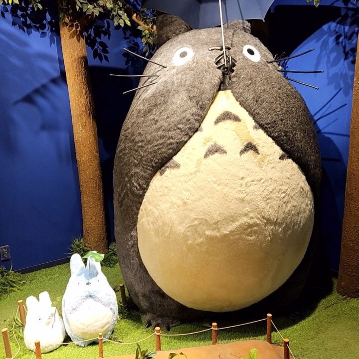お部屋待ち〜❤︎
ちょっとひんやりするね(´·ω·`)
ぬくぬくのお部屋で一緒にぬくぬくしよ〜♪
〜そら〜
