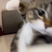ゆん