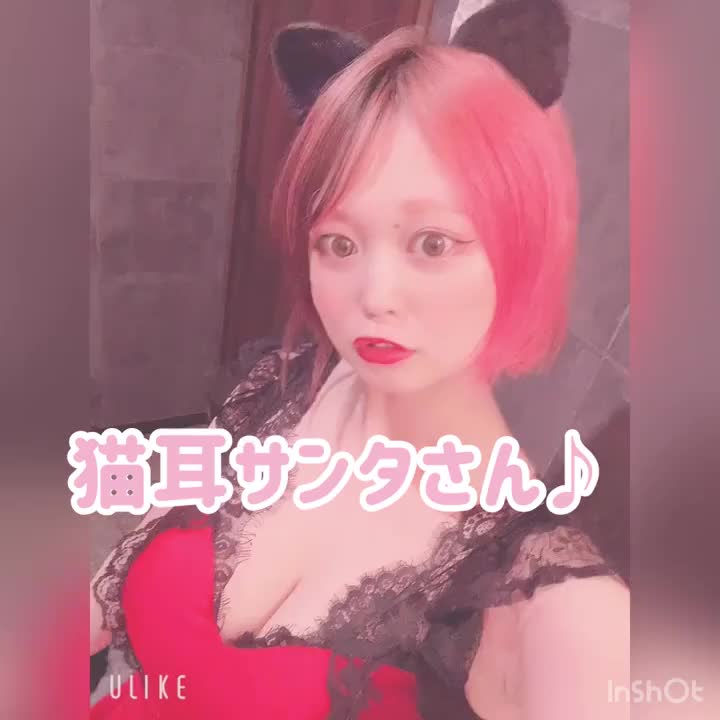 おはようございます♪今年のゆりサンタは猫ちゃんとホワイトです😆✨