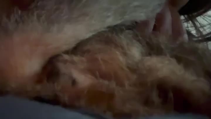 お尻、大好き🐱