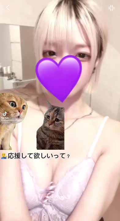 猫ミーム知ってる？めちゃくちゃハマってます🥰猫ミームでおねだりという変化球😂💖応援してください❕