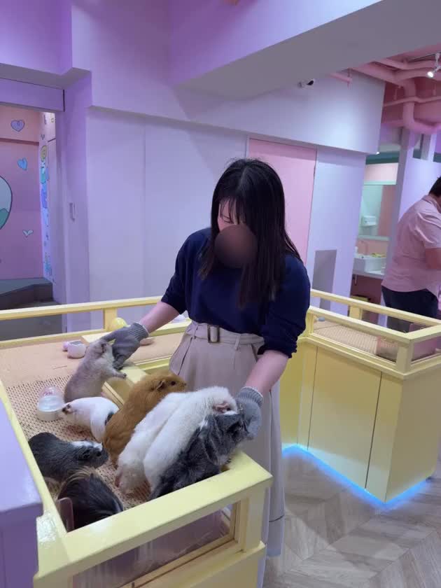 楓音