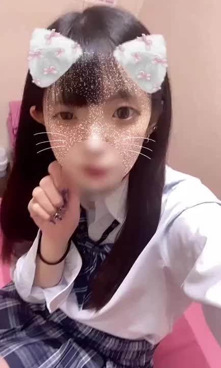 ねこさん！🐈