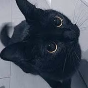 宮里まい