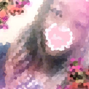 ともみ。