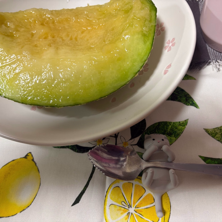 今月、仲良しさんからいただいた

茨城県産の
メロン♡

さっそくママさんと
いただいちゃいました(´,,>ω<,,`)

まさかのサプライズに
ママさんも大興奮だったよ♡

土浦までけっこう距離があるのに
わざわざ届けてくれて
感謝感激愛の嵐です♡

アールスメロンで合ってるかな？！

10月の下旬頃までメロンを味わうことが
出来ちゃうなんて
さすが生産量日本一だね‧˚₊*̥(* ⁰̷̴͈꒨⁰̷̴͈)‧˚₊*̥

完熟最高♡
トロけるような甘みと
ジューシーさに感動です(灬♥ω♥灬)

ごちそぉサマでした♡