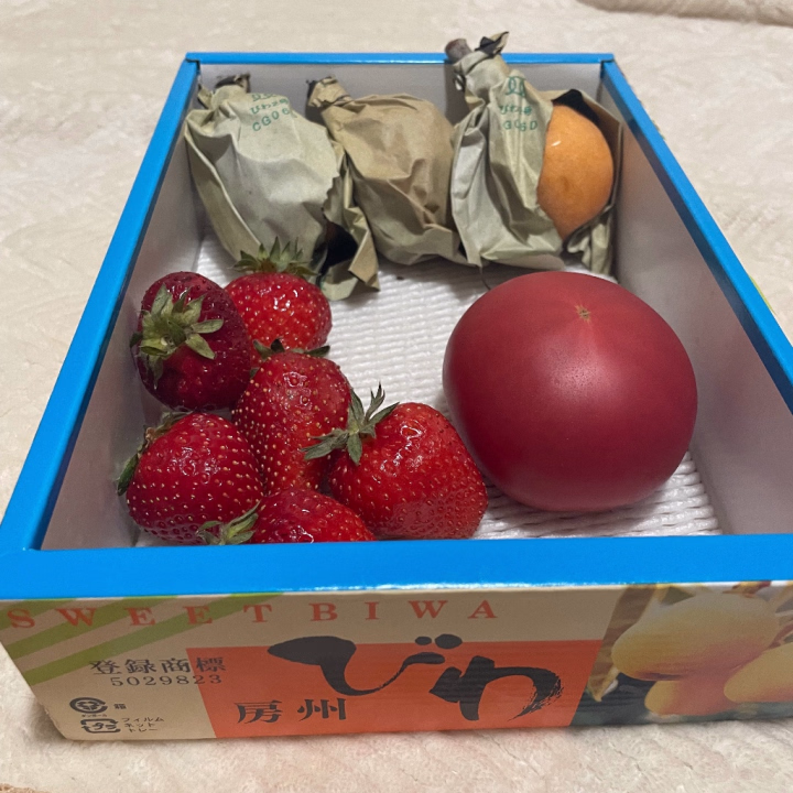 トマト🍅いちご🍓びわ
今夜の晩御飯でした🌸

トマトもいちごもビワも
めちゃくちゃ美味しかったです✨
差し入れありがとうございました〜✨

明日も頑張るぞぉぉぉぉおおお🗽🔥

という訳でもう寝ます
おやすみなさーい💤

ご予約いっぱいとれまーす✌️
では、また〜