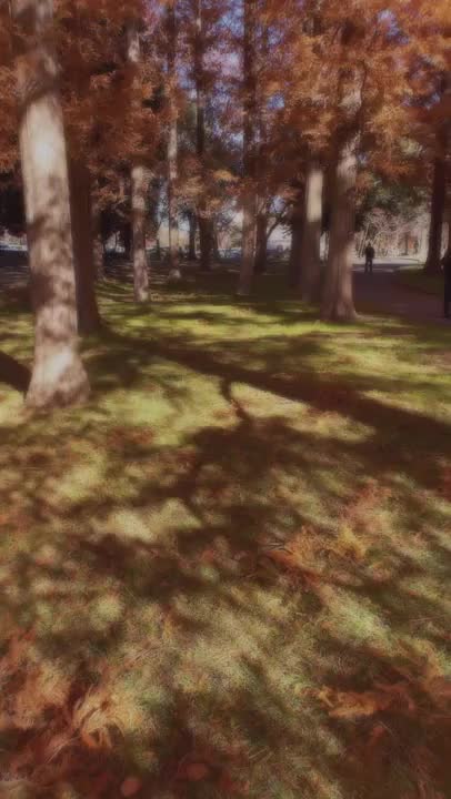 今日は家族と出掛けてたらメタセコイア並木がありました🍁ズラーっと並ぶ巨大なメタセコイアは美しさと迫力を兼ね揃えてました。やっぱり秋が1番好き！、