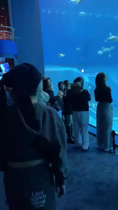 出勤してますー！
スタートから遊んでくれた本指名さま方、ありがとうね(T T)♡


半年ぶりの出勤なのに
こうやって会いに来てくれて
本当に嬉しい限りです、ありがとう(T T)(T T)



動画は2月に沖縄行った時の！




今日も24時までよろしくねദ്ദിᐢ- ̫-ᐢ₎