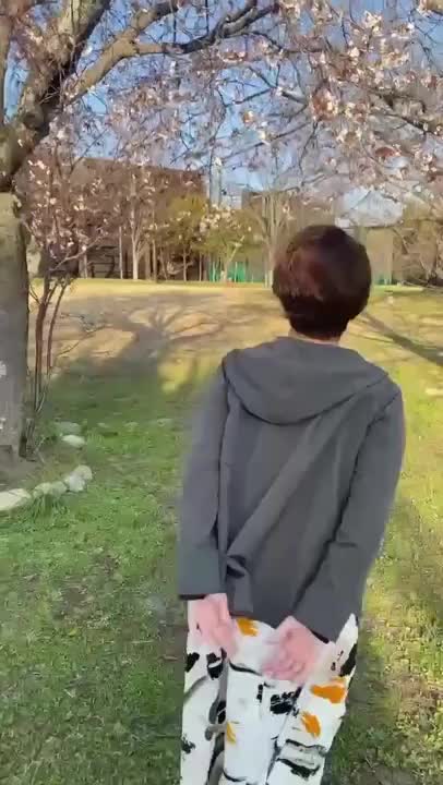 開花宣言