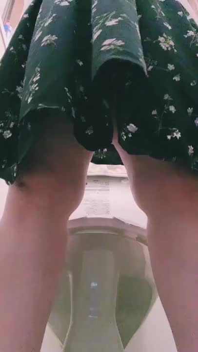 トイレの盗撮ってお好きですか？・・・私っていけないことしてる？