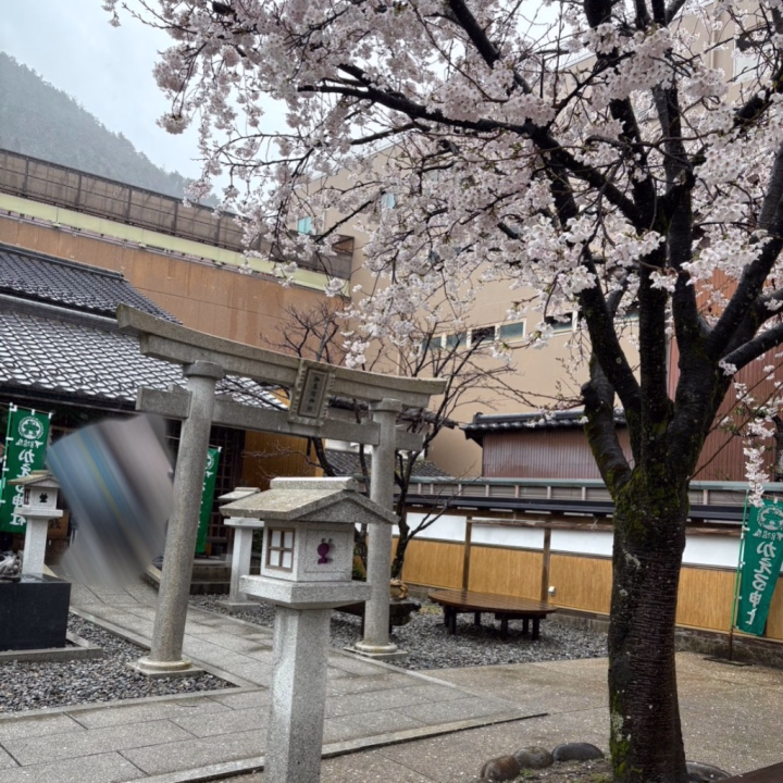 そういえばね！！3月にお友達と下呂温泉に旅行に行ったの🌸🧳

あいにくの雨だったんだけど、温泉街道に「かえる神社」って所があったよ🐸⛩️

お賽銭すると、可愛い天の声でお告げが流れてきて可愛かったなあ🥳

おみくじも引いて、お土産屋さんで温泉のもとの入浴剤買ったり、名物のプリン買ったり！😍

プリンは私が並んだ後にものすごい長蛇の列になってた😳🍮

旅行でゆっく〜り過ごすのは最高だね😚

お兄様の今まで行って良かった旅行先とかあったら聞きたいな👀💓

うみの