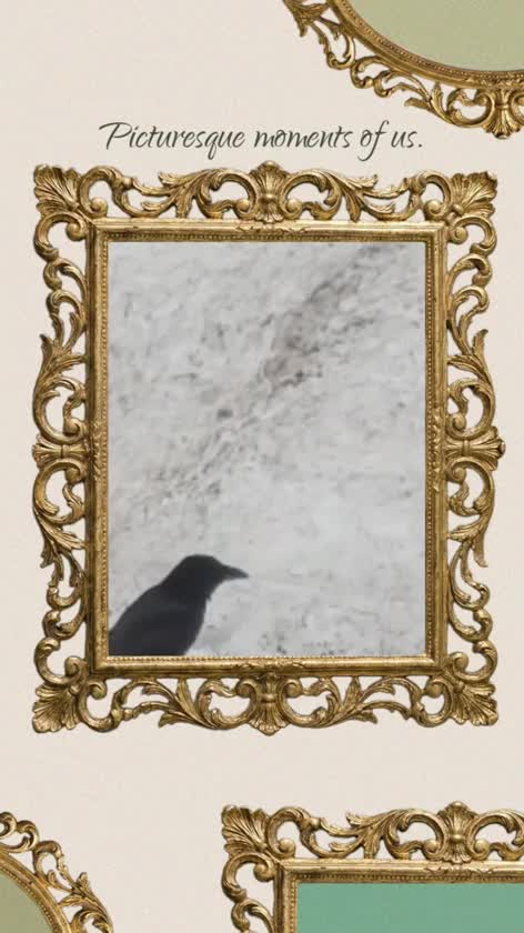 鳥🐦‍⬛～トメントはしているか🍼💦❓

雪山🏔️で、遊ぶ💃❓
カラス🐦‍⬛を見るのも👀
最後かな🤭

春🌸よ恋😌🌸💕