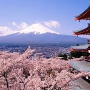 人妻生レンタル