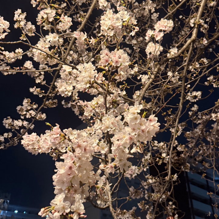 出勤するよ〜!
ご予約たくさんありがとう🥲
本日の最短のご案内は
21時頃です❕
日曜日の夜だしうーんって感じだけど
来てくれたら嬉しいです🥺
明日も出勤します🫡
明日は沢山空いてるので
良かったら遊びに来てね🙌🏻
その次は23.24辺りで出勤考え中です💭
本日もよろしくお願いします🙏🏻
気をつけてきてくださいね✨️